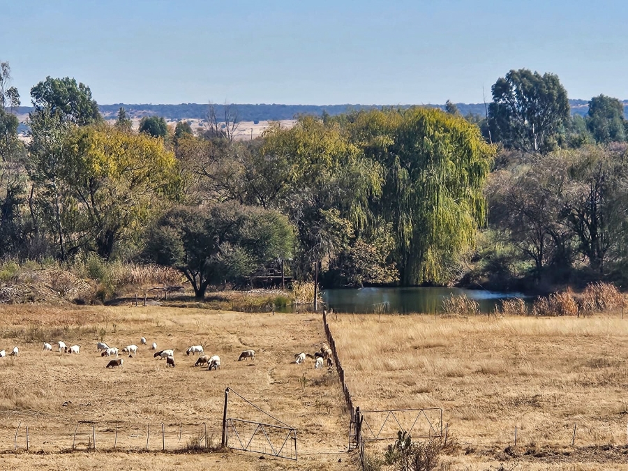 4 Bedroom Property for Sale in Potchefstroom Rural North West